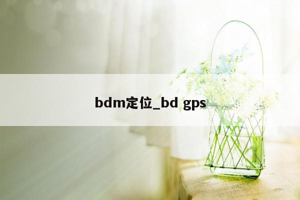 bdm定位_bd gps