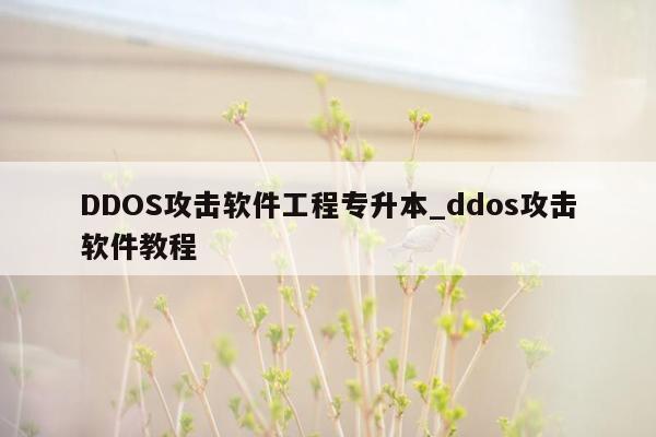 DDOS攻击软件工程专升本_ddos攻击软件教程