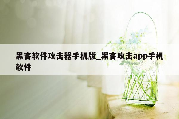 黑客软件攻击器手机版_黑客攻击app手机软件