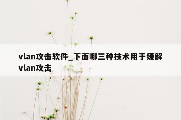 vlan攻击软件_下面哪三种技术用于缓解vlan攻击