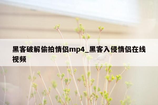 黑客破解偷拍情侣mp4_黑客入侵情侣在线视频