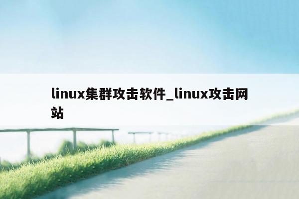 linux集群攻击软件_linux攻击网站