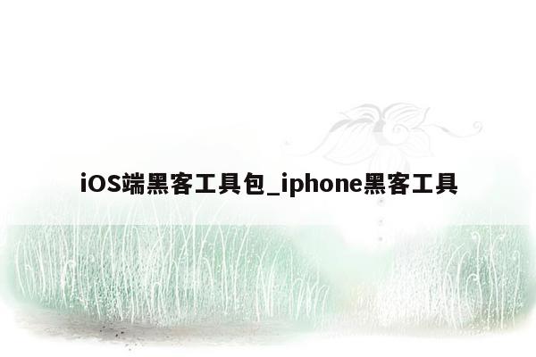 iOS端黑客工具包_iphone黑客工具