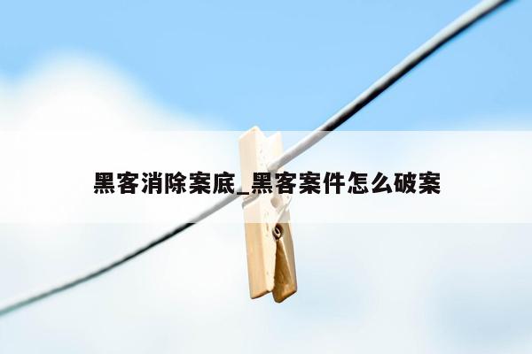 黑客消除案底_黑客案件怎么破案