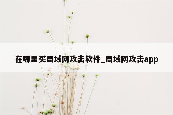 在哪里买局域网攻击软件_局域网攻击app