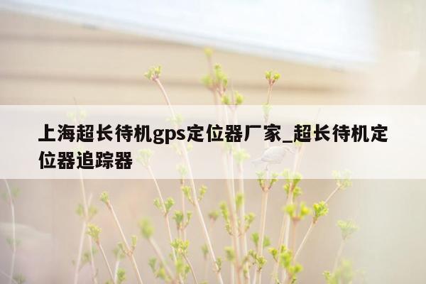 上海超长待机gps定位器厂家_超长待机定位器追踪器