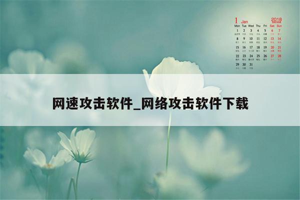 网速攻击软件_网络攻击软件下载