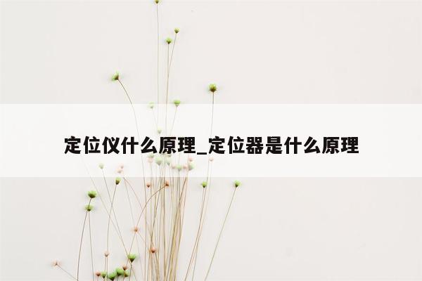 定位仪什么原理_定位器是什么原理