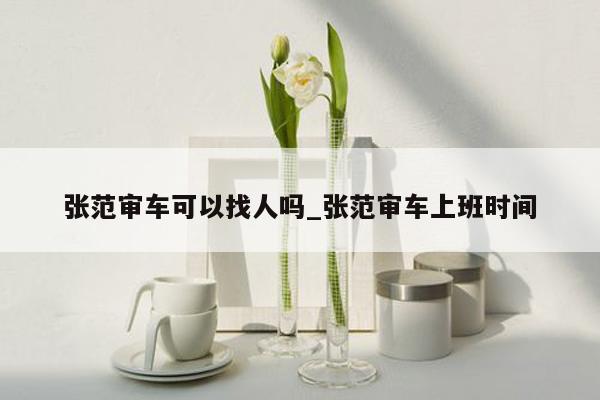 张范审车可以找人吗_张范审车上班时间