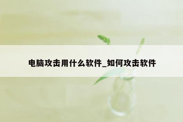 电脑攻击用什么软件_如何攻击软件