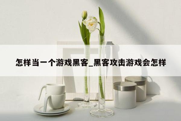 怎样当一个游戏黑客_黑客攻击游戏会怎样