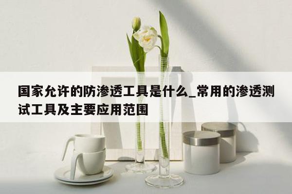 国家允许的防渗透工具是什么_常用的渗透测试工具及主要应用范围