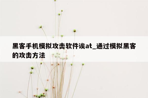 黑客手机模拟攻击软件诶at_通过模拟黑客的攻击方法