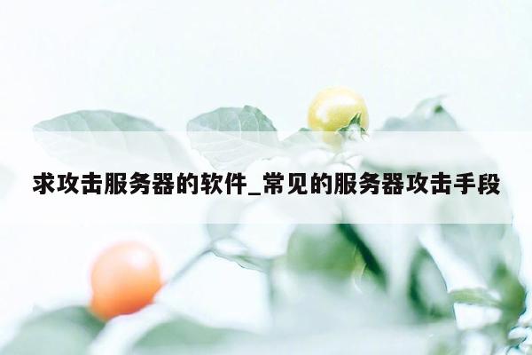 求攻击服务器的软件_常见的服务器攻击手段