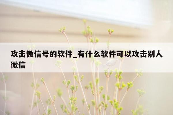 攻击微信号的软件_有什么软件可以攻击别人微信