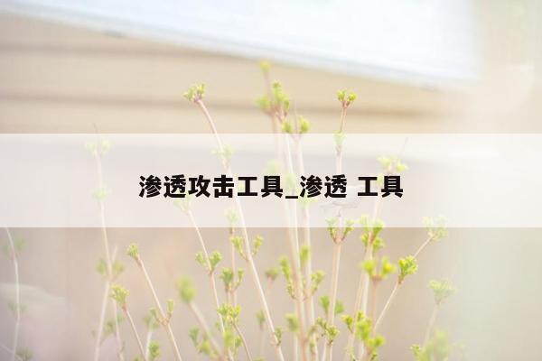 渗透攻击工具_渗透 工具