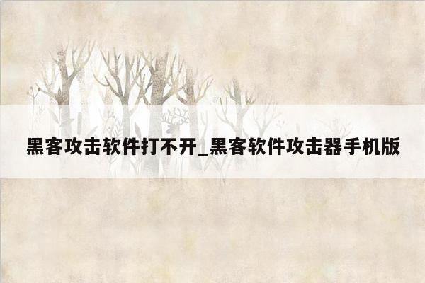 黑客攻击软件打不开_黑客软件攻击器手机版