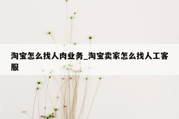 淘宝怎么找人肉业务_淘宝卖家怎么找人工客服