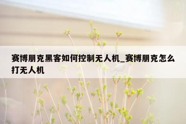 赛博朋克黑客如何控制无人机_赛博朋克怎么打无人机