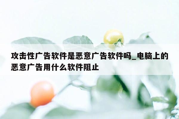 攻击性广告软件是恶意广告软件吗_电脑上的恶意广告用什么软件阻止