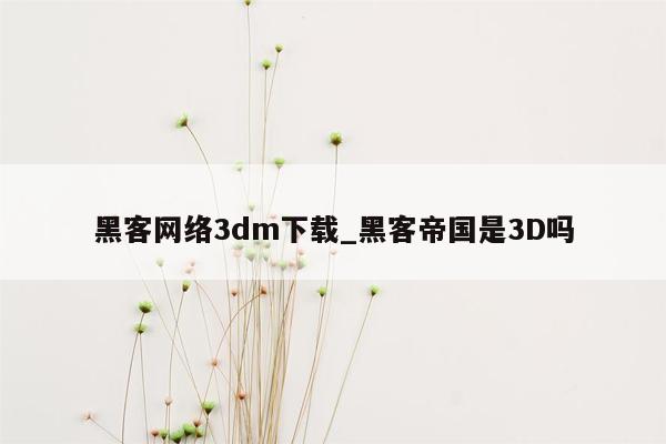 黑客网络3dm下载_黑客帝国是3D吗