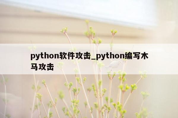 python软件攻击_python编写木马攻击