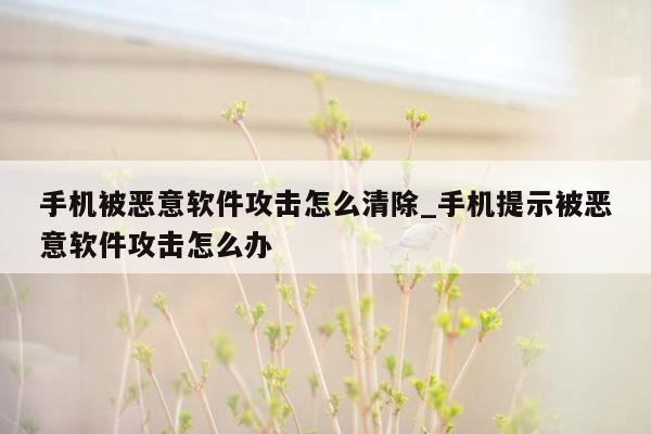 手机被恶意软件攻击怎么清除_手机提示被恶意软件攻击怎么办