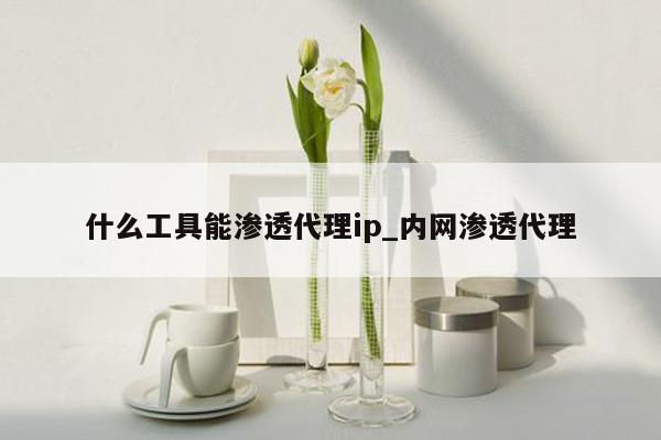 什么工具能渗透代理ip_内网渗透代理