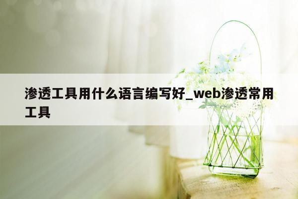 渗透工具用什么语言编写好_web渗透常用工具