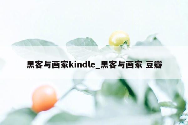 黑客与画家kindle_黑客与画家 豆瓣