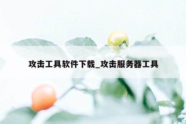 攻击工具软件下载_攻击服务器工具