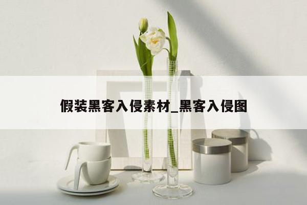 假装黑客入侵素材_黑客入侵图