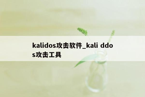 kalidos攻击软件_kali ddos攻击工具