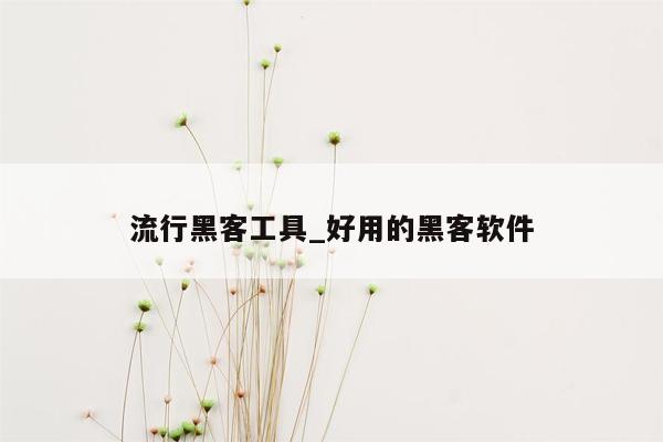 流行黑客工具_好用的黑客软件