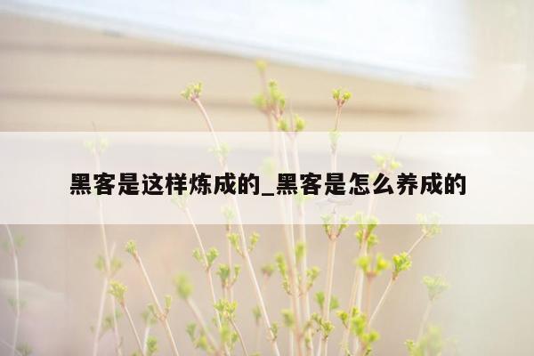 黑客是这样炼成的_黑客是怎么养成的