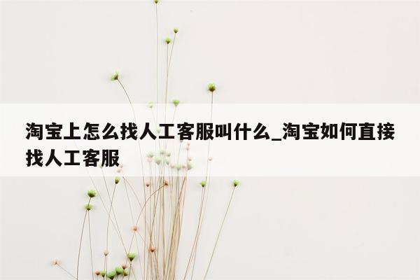 淘宝上怎么找人工客服叫什么_淘宝如何直接找人工客服