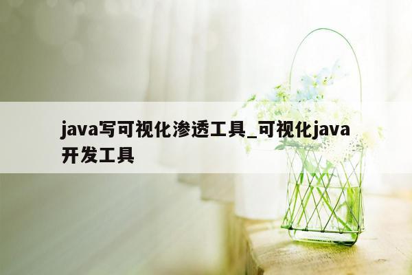 java写可视化渗透工具_可视化java开发工具