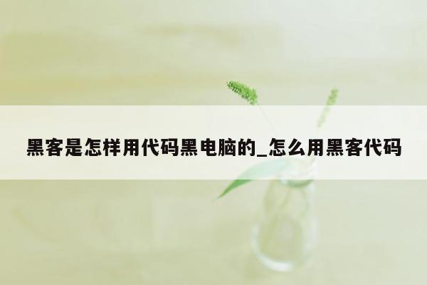 黑客是怎样用代码黑电脑的_怎么用黑客代码