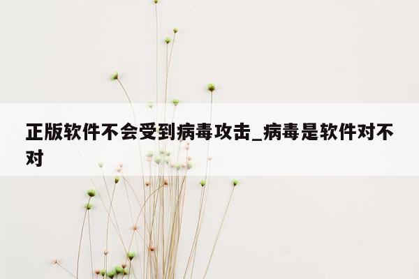 正版软件不会受到病毒攻击_病毒是软件对不对