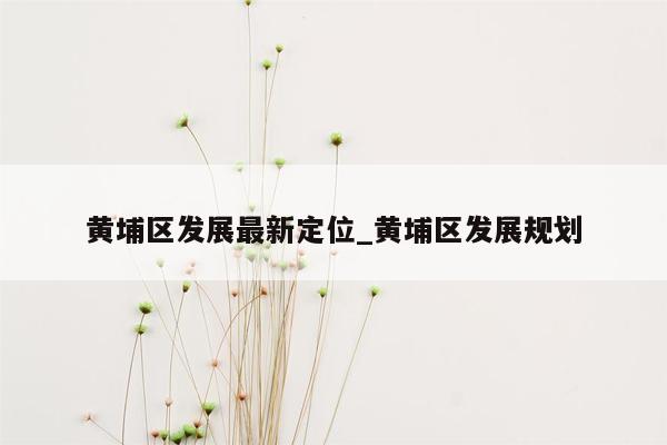 黄埔区发展最新定位_黄埔区发展规划