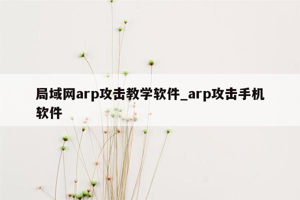 局域网arp攻击教学软件_arp攻击手机软件