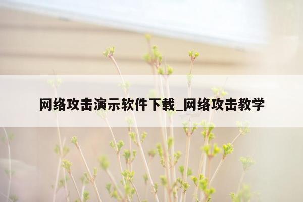 网络攻击演示软件下载_网络攻击教学