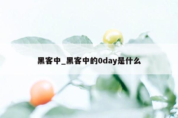 黑客中_黑客中的0day是什么