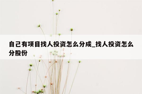 自己有项目找人投资怎么分成_找人投资怎么分股份