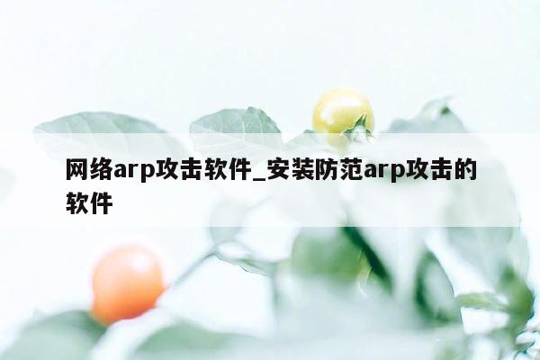 网络arp攻击软件_安装防范arp攻击的软件