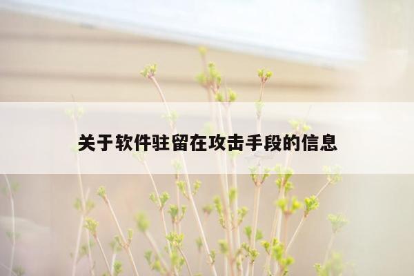 关于软件驻留在攻击手段的信息