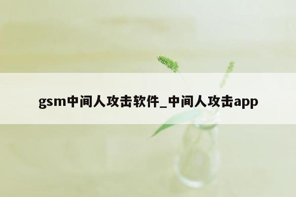 gsm中间人攻击软件_中间人攻击app