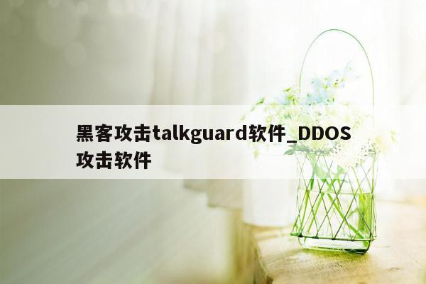 黑客攻击talkguard软件_DDOS攻击软件