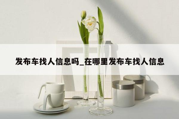 发布车找人信息吗_在哪里发布车找人信息