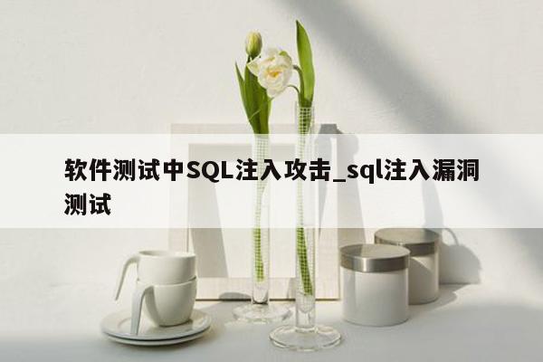 软件测试中SQL注入攻击_sql注入漏洞测试